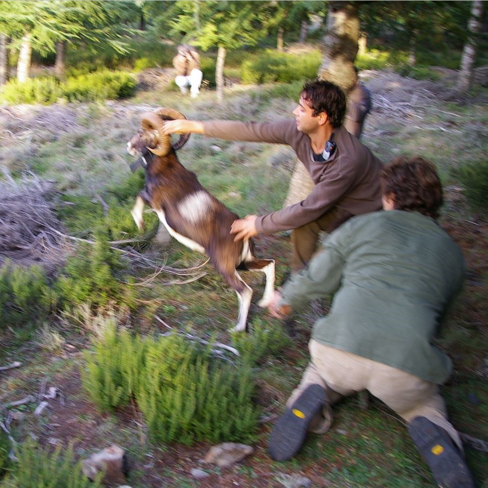 Image 4